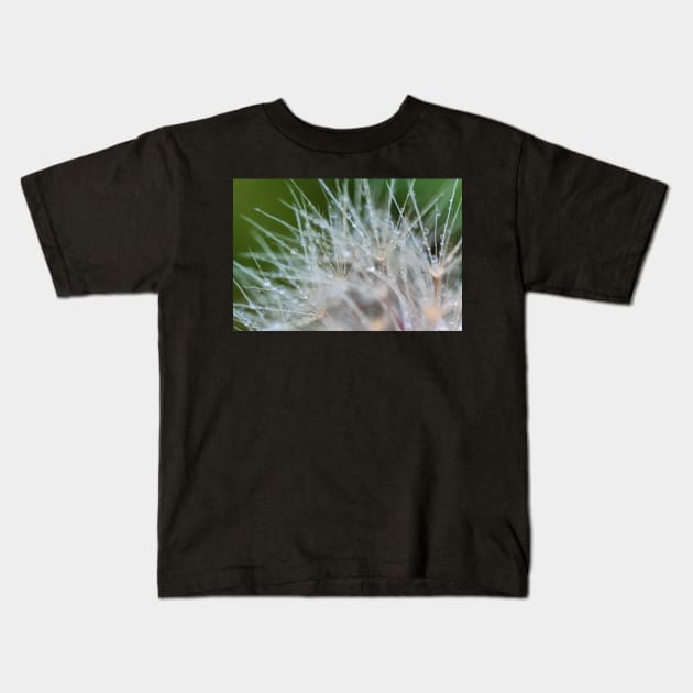 Water dew on Dandelion Kids T-Shirt by jvnimages